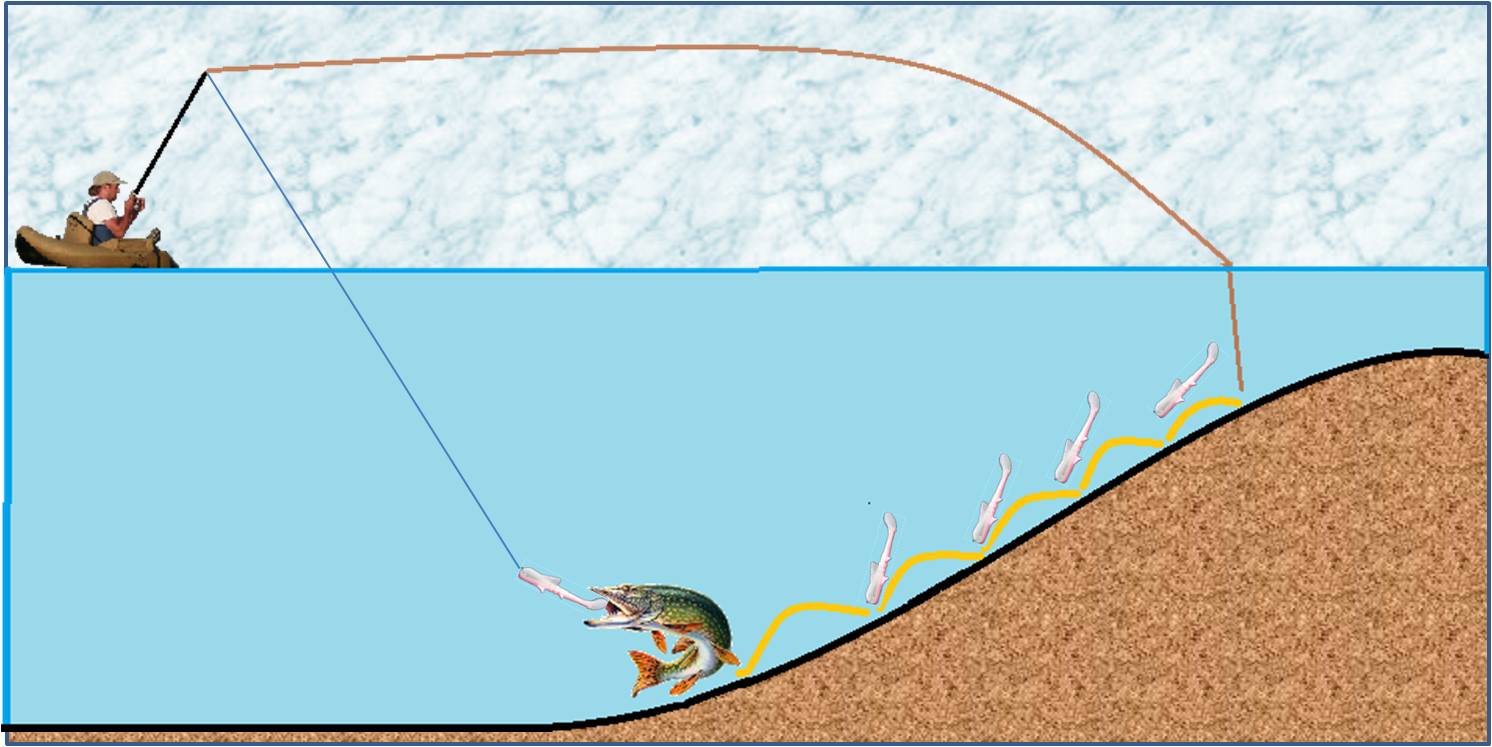Des techniques de pêche pour le lac Léman
